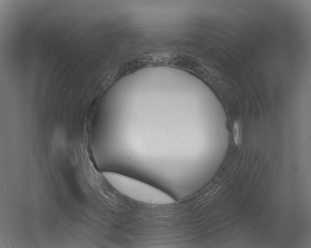 X0000060791395200511101022