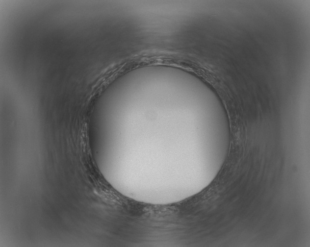 X0000060791397200511101022