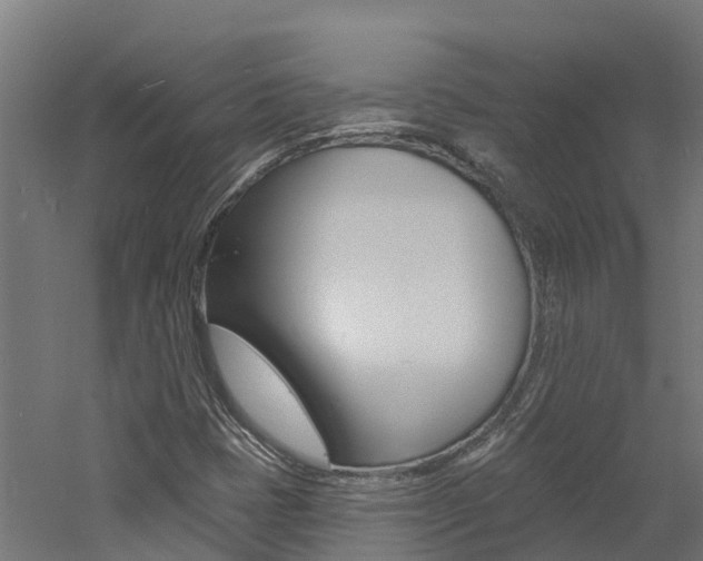 X0000060791401200511101022