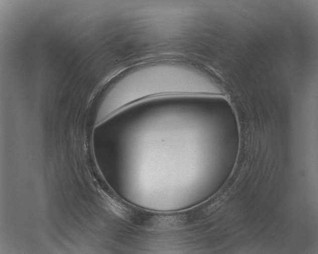 X0000060791402200511101022