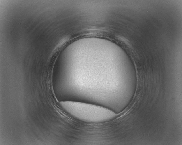 X0000060791403200511101022