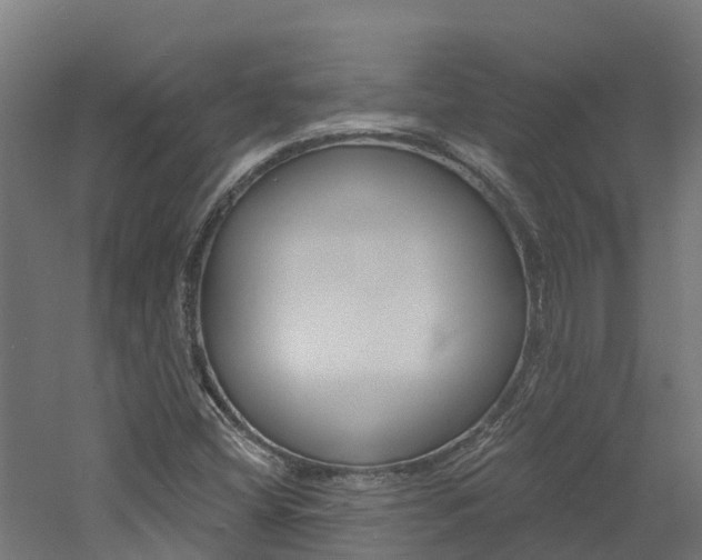 X0000060791404200511101022