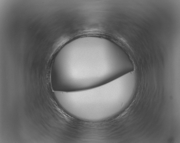 X0000060791405200511101022