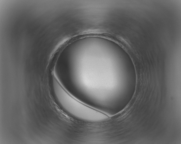 X0000060791406200511101022