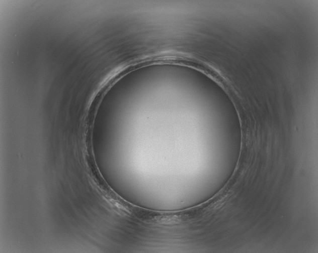 X0000060791410200511101022