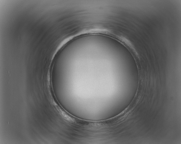 X0000060791420200511101022