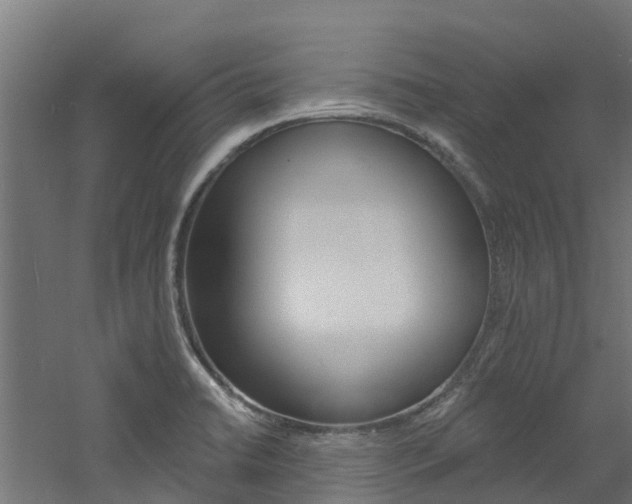 X0000060791422200511101022