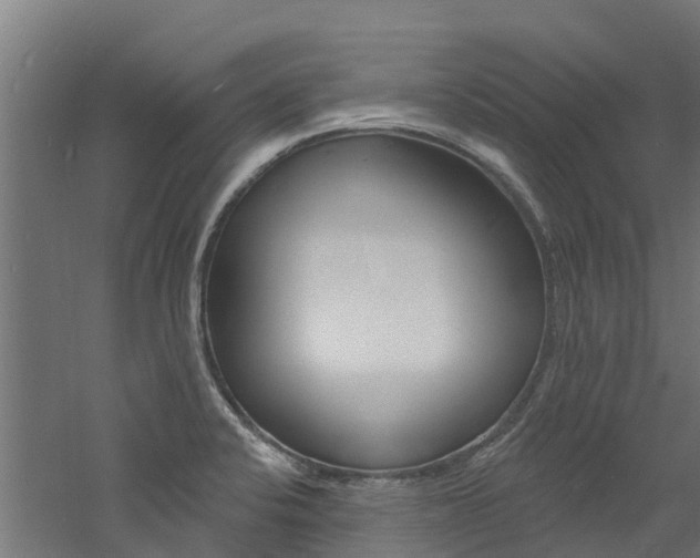 X0000060791424200511101022
