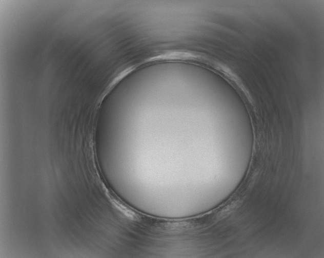 X0000060791425200511101022