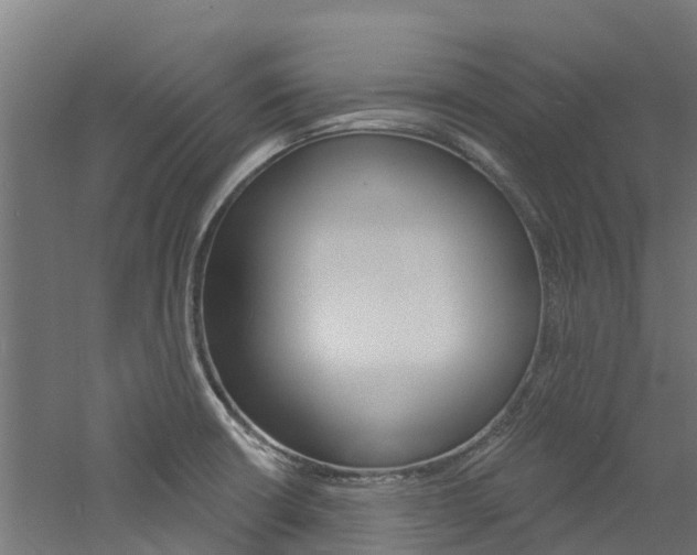 X0000060791426200511101022