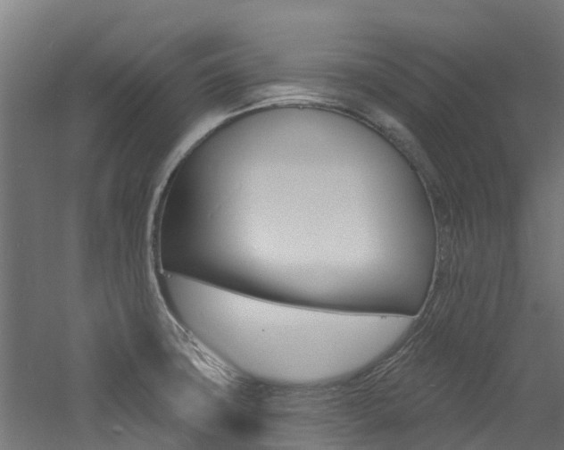 X0000060791427200511101022