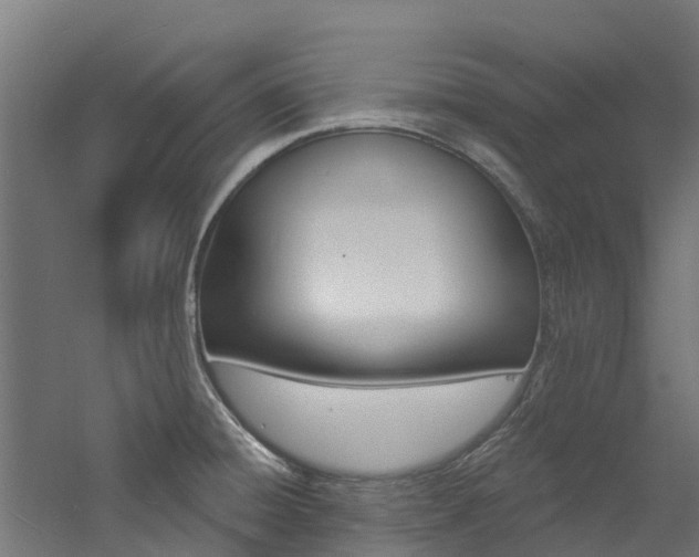 X0000060791428200511101022