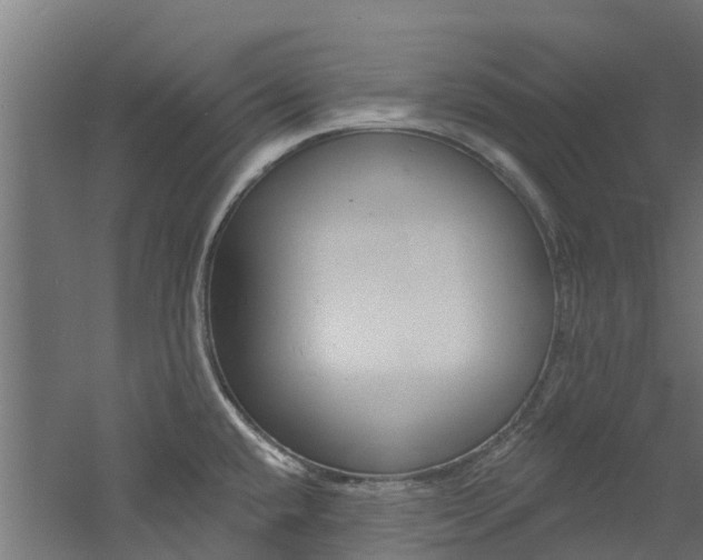 X0000060791432200511101022