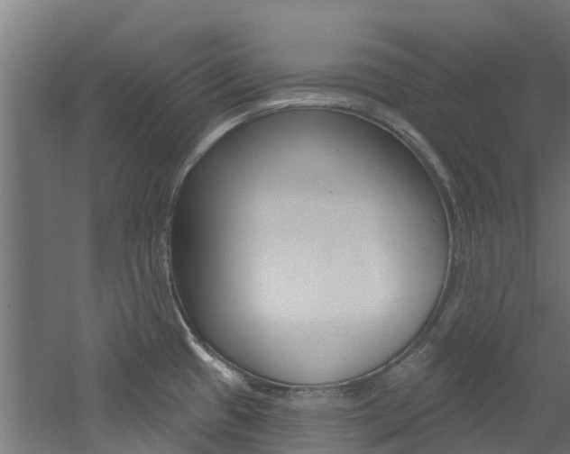 X0000060791433200511101023