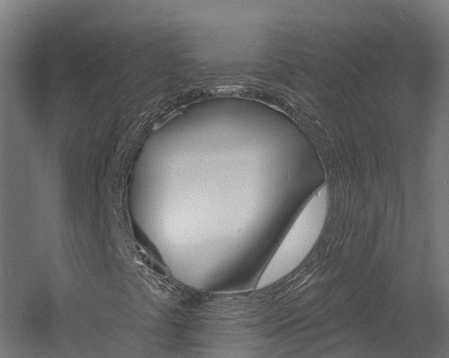 X0000060791441200511101022