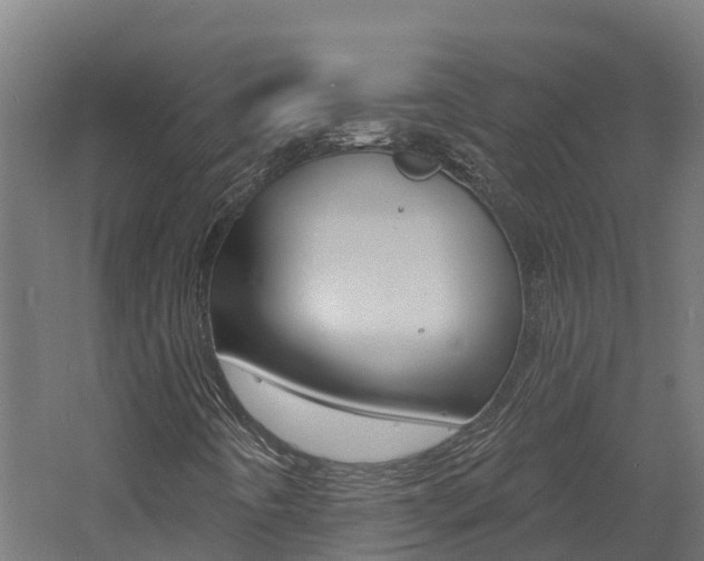 X0000060791442200511101022