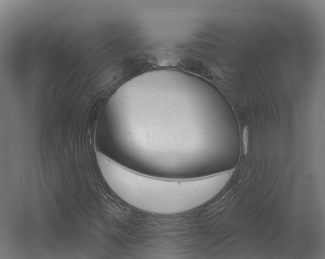 X0000060791443200511101022