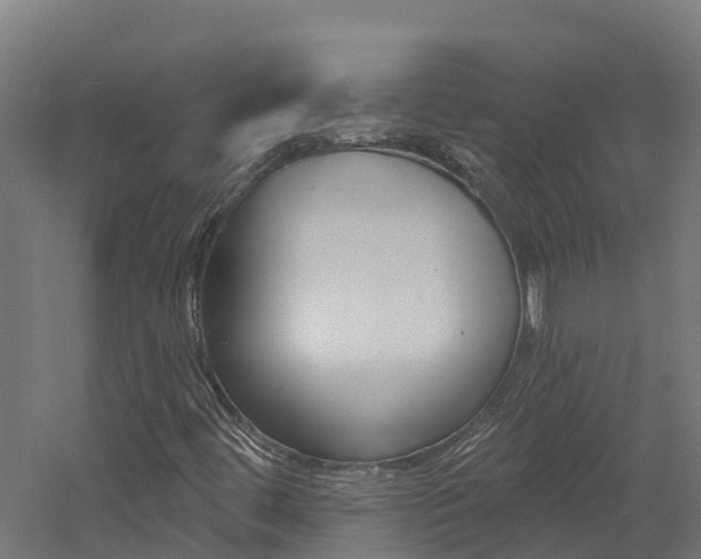 X0000060791444200511101022