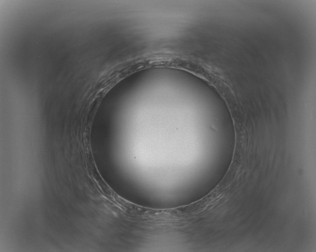 X0000060791445200511101022