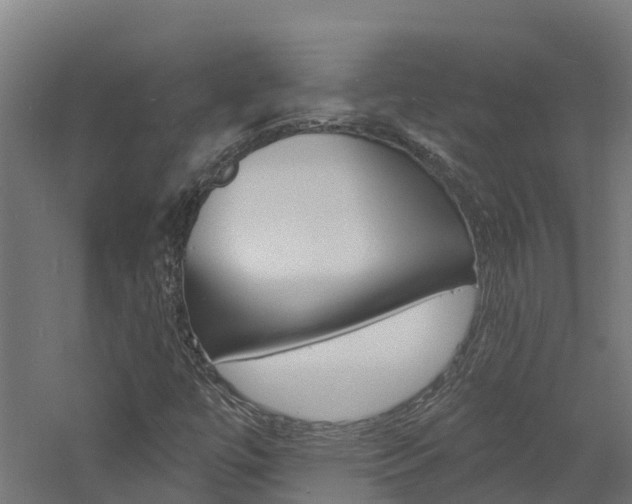 X0000060791447200511101022