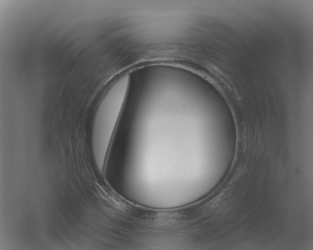 X0000060791449200511101022