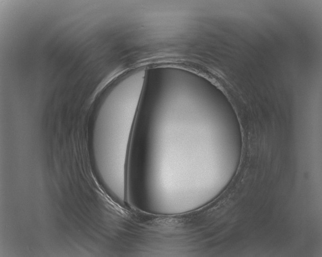 X0000060791450200511101022