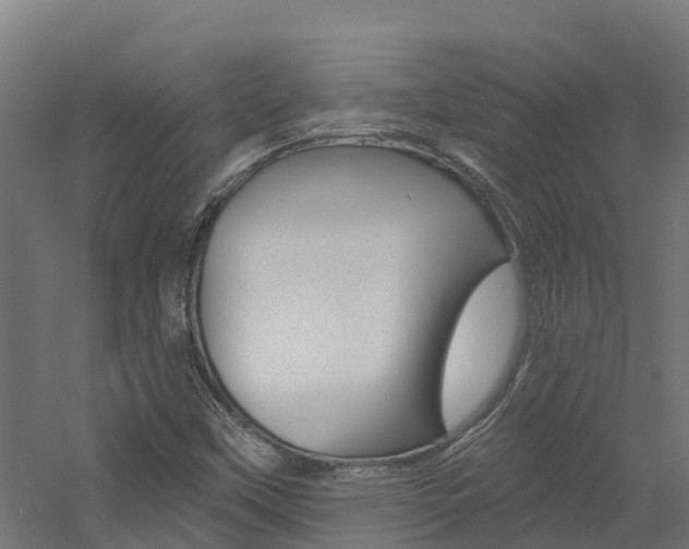 X0000060791451200511101022