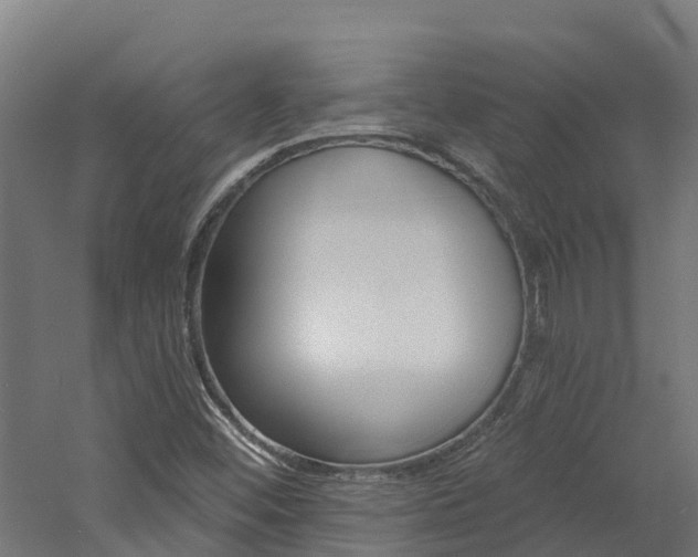 X0000060791452200511101022