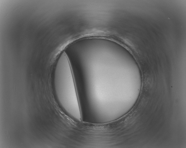 X0000060791455200511101022