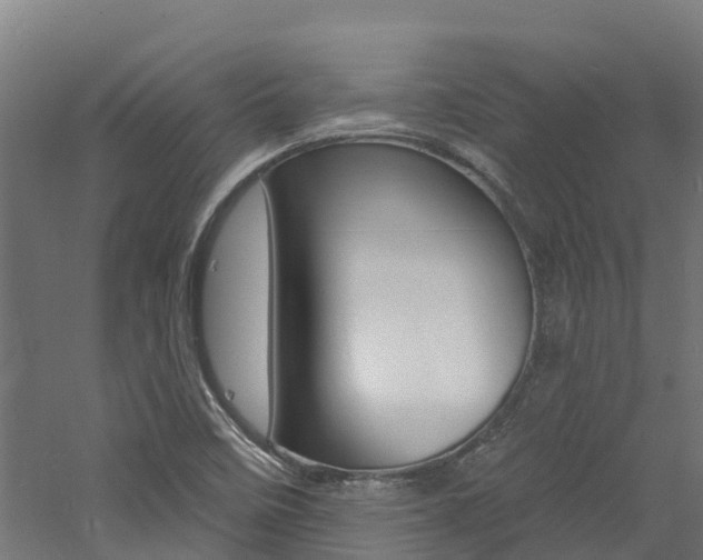 X0000060791458200511101022