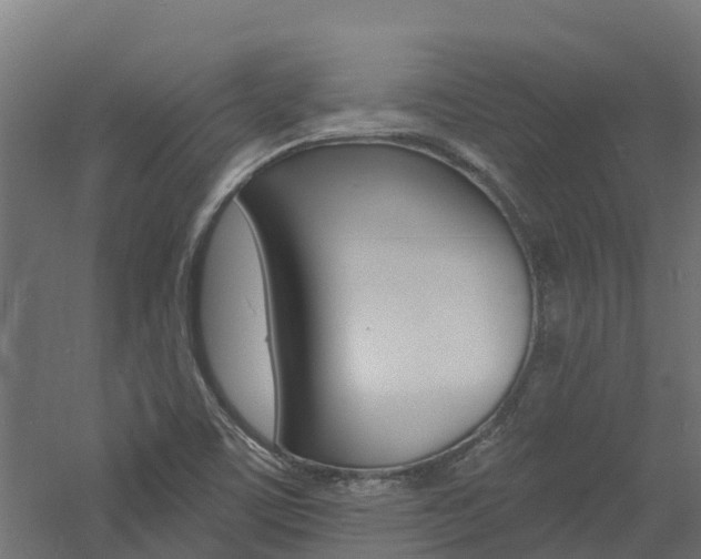 X0000060791459200511101022