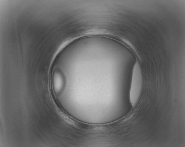 X0000060791467200511101021