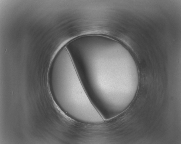 X0000060791468200511101021