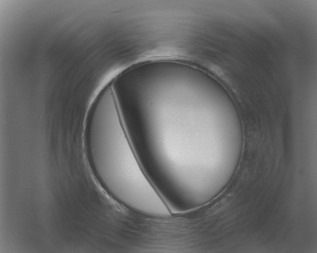X0000060791469200511101021