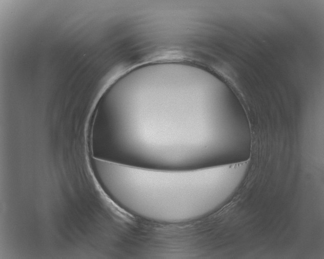 X0000060791475200511101021