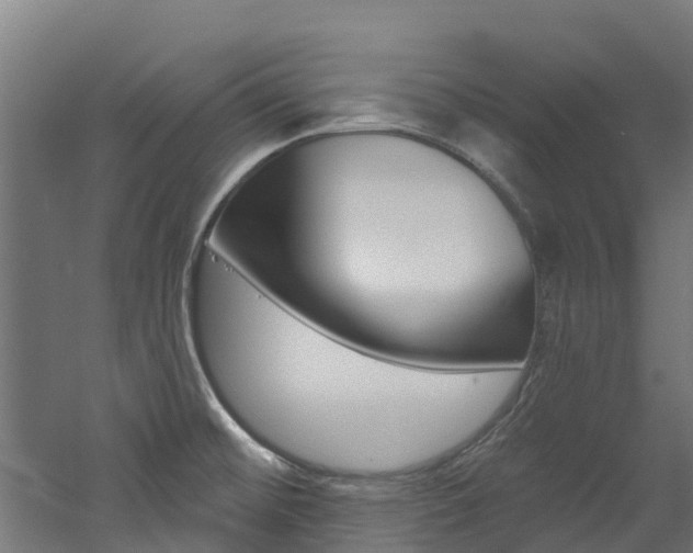 X0000060791476200511101021