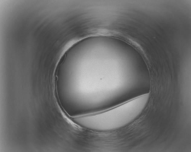 X0000060791479200511101021