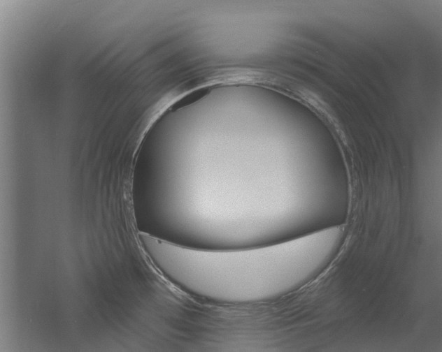 X0000060791481200511101021