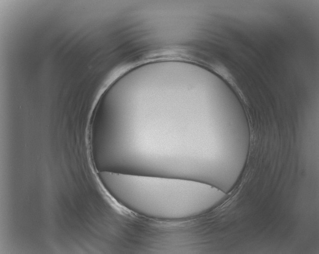 X0000060791482200511101021
