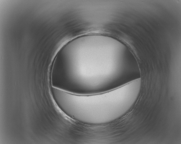 X0000060791483200511101021