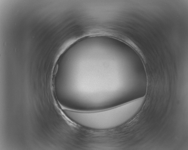 X0000060791485200511101021