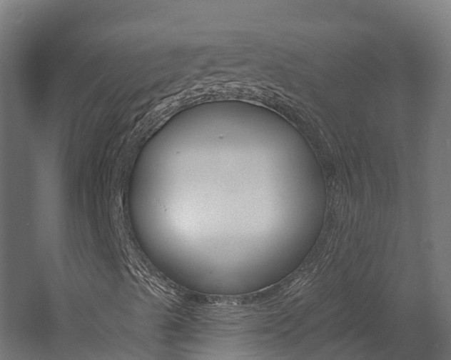 X0000060791489200511101020