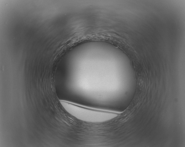 X0000060791490200511101020