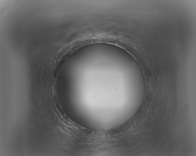 X0000060791493200511101020