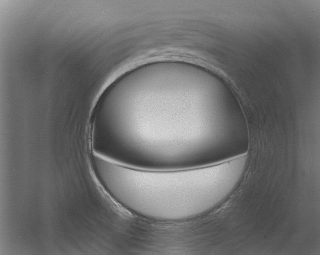 X0000060791522200511101021