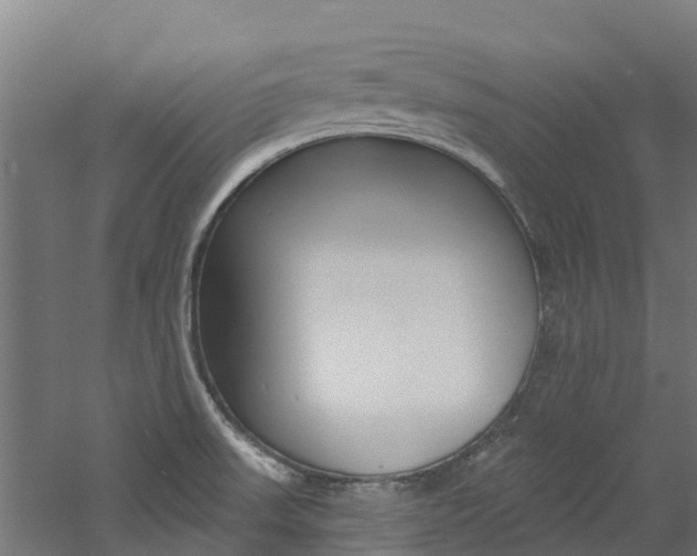 X0000060791523200511101021