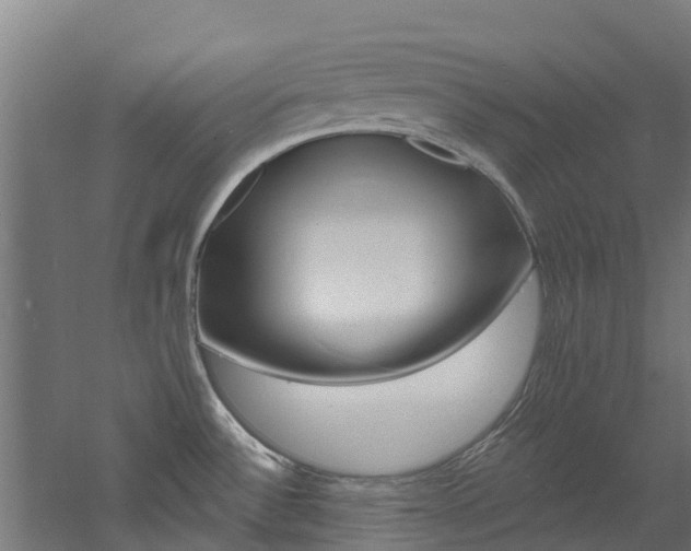 X0000060791532200511101021
