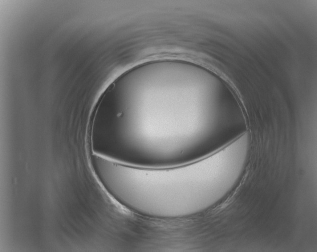 X0000060791533200511101021