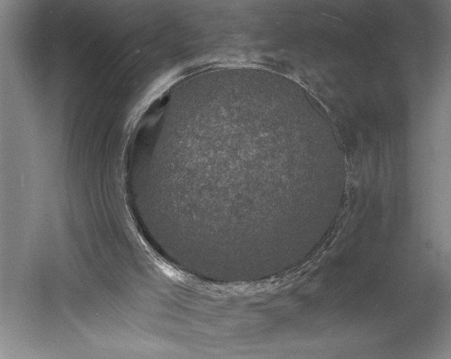 X0000060790005200511101431