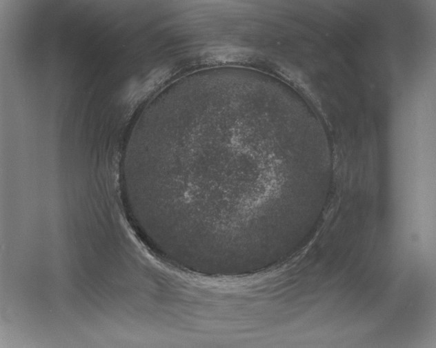 X0000060790010200511101430